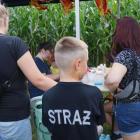 zdjęcie nr 128