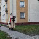 Fotka nr 3 z 8