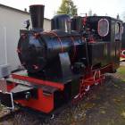 Fotka nr 3 z 4