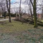 zdjęcie nr 13
