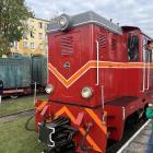 zdjęcie nr 7