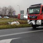 Fotka nr 1 z 4