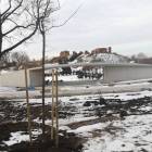 zdjęcie nr 5