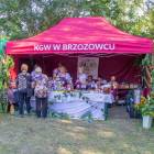 zdjęcie nr 24