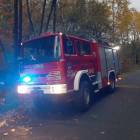 Fotka nr 5 z 8