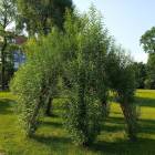 zdjęcie nr 7