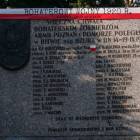 zdjęcie nr 13