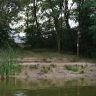 zdjęcie nr 33