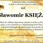 zdjęcie nr 10