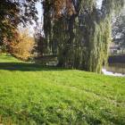 zdjęcie nr 44