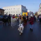 zdjęcie nr 31