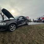 zdjęcie nr 2