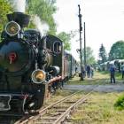 zdjęcie nr 7