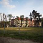 zdjęcie nr 55