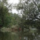 zdjęcie nr 40