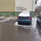 Fotka nr 4 z 17