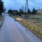 Fotka nr 5 z 30