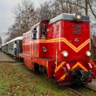 zdjęcie nr 17