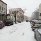 zdjęcie nr 10