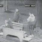 Fotka nr 3 z 4