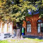 zdjęcie nr 70