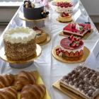 Fotka nr 0 z 8