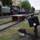 Fotka nr 1 z 12