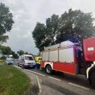 Fotka nr 5 z 7