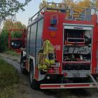 Fotka nr 1 z 4