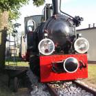 zdjęcie nr 5