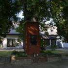 zdjęcie nr 12