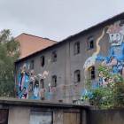 zdjęcie nr 8
