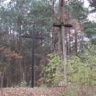 zdjęcie nr 23