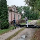 zdjęcie nr 15