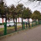 zdjęcie nr 11