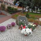 zdjęcie nr 12