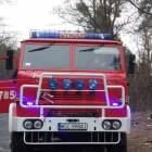 Fotka nr 5 z 6
