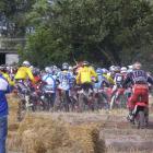zdjęcie nr 15