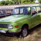 zdjęcie nr 74
