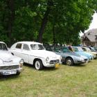 zdjęcie nr 52
