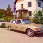 zdjęcie nr 98