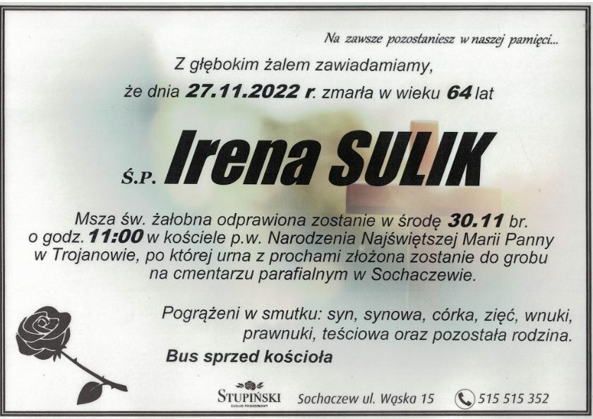 Irena Sulik