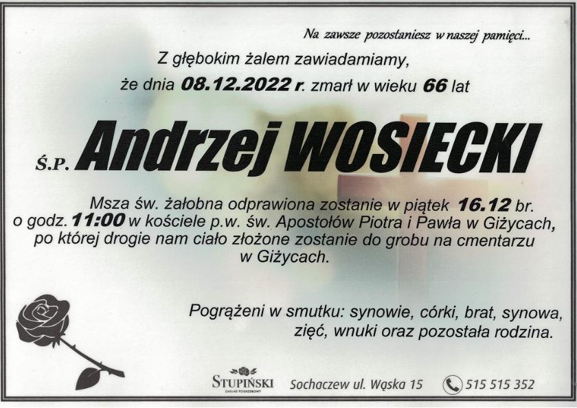 Andrzej Wosiecki