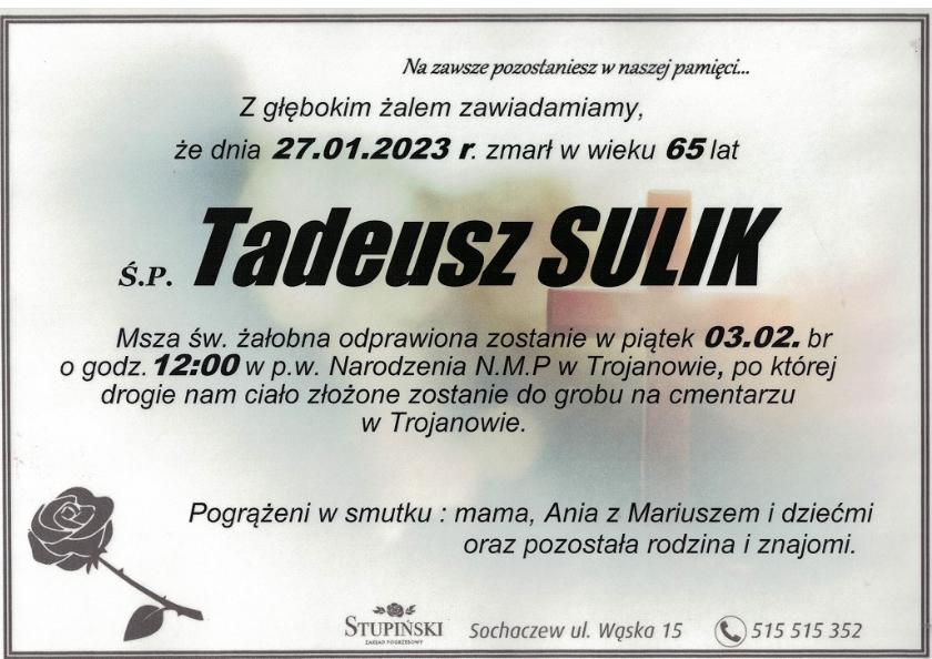 Tadeusz Sulik