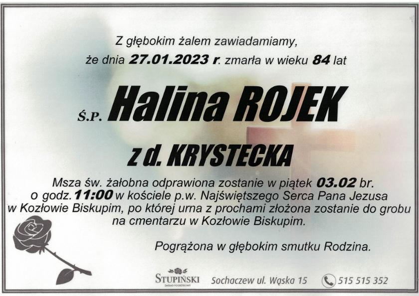 Halina Rojek
