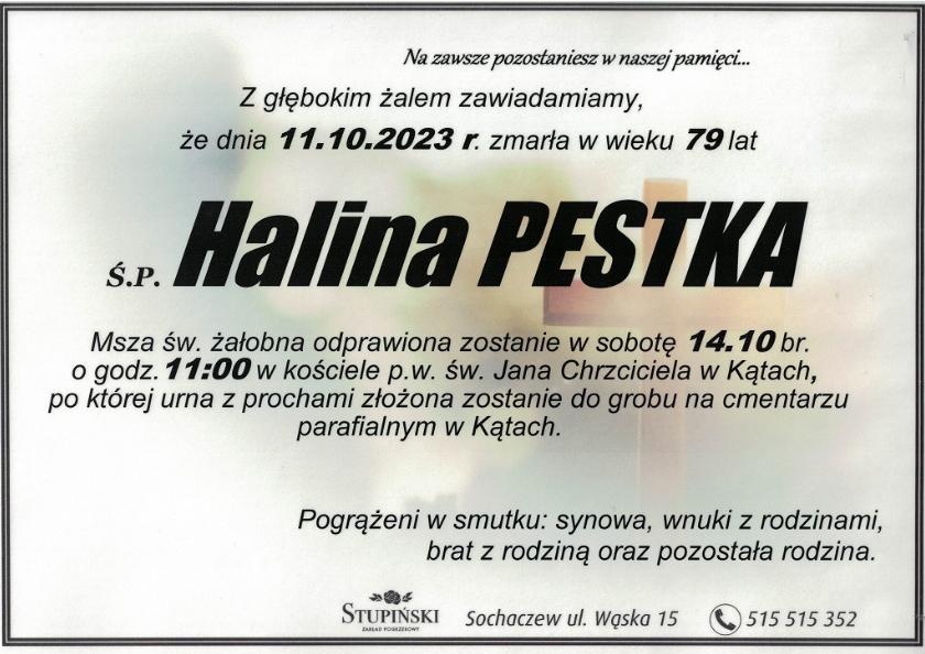 Halina Pestka