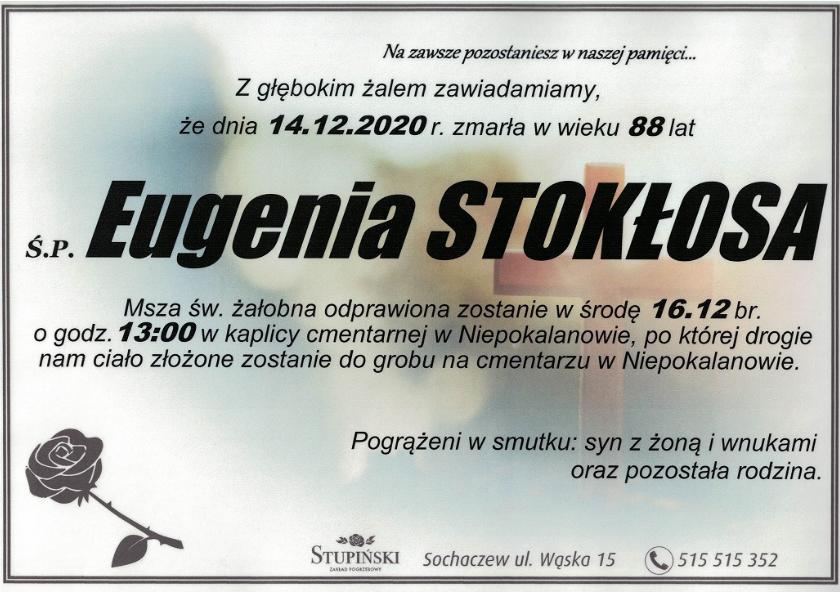 Eugenia Stokłosa