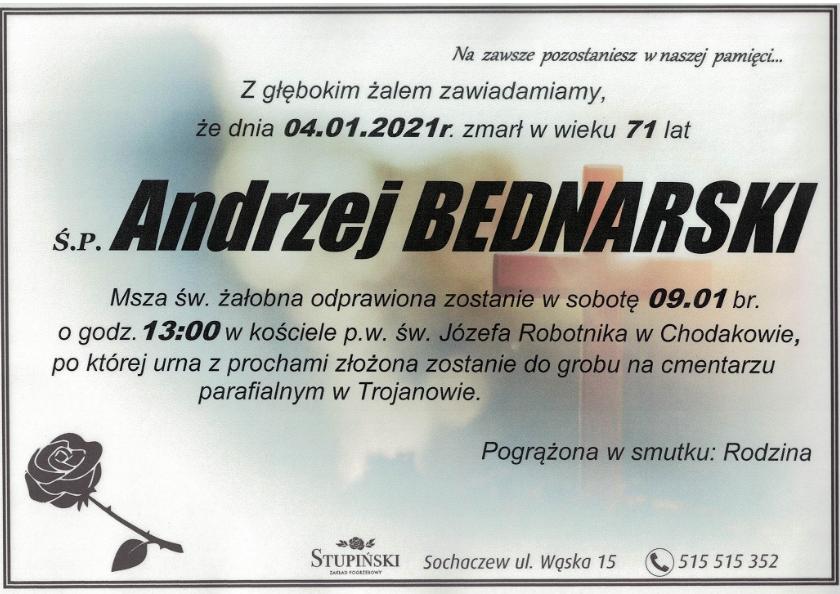 Andrzej Bednarski