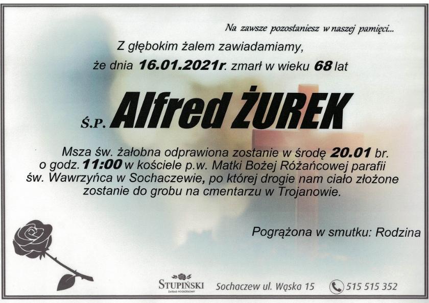 Alfred Żurek