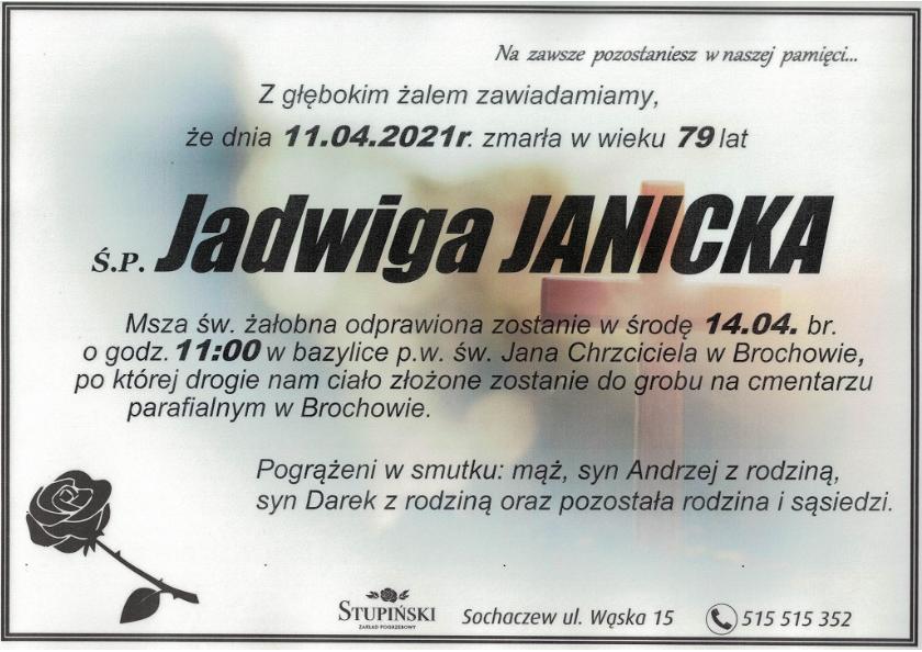 Jadwiga Janicka